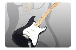 Fujigenのギター買取